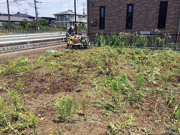 1階に子供部屋と寝室、水廻りがあります。